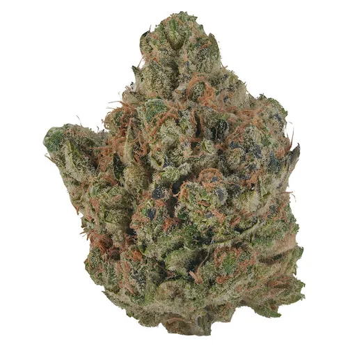 VOLO - Orange Turpentine - Orange Turpentine 3.5g Dried Flower VOLO - Orange Turpentine - Orange Turpentine 3.5g Dried Flower