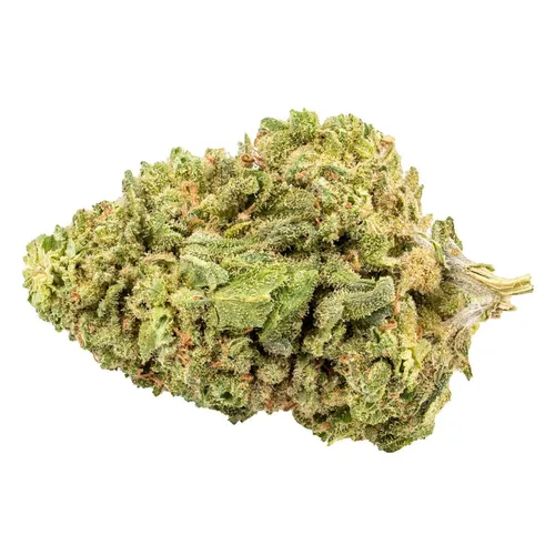 Bingo - Sativa! - Sativa! 15g Dried Flower Bingo - Sativa! - Sativa! 15g Dried Flower