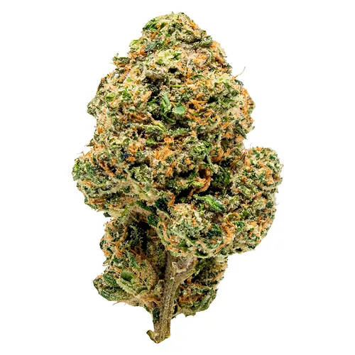 (Strain Z) Clock In