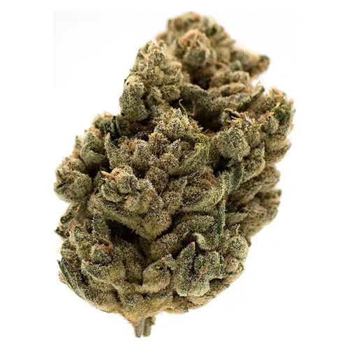 MTL Cannabis - Jungl' Cake - 14g