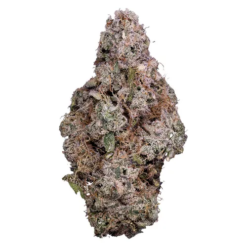 Tribal - Porto Leche - Porto Leche 3.5g Dried Flower