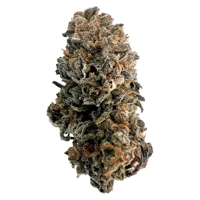 Runtz OG