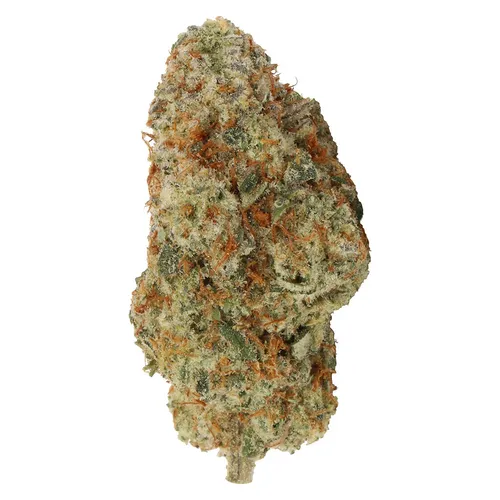 Carmel - Myrtle Beach - Myrtle Beach 3.5g Dried Flower Carmel - Myrtle Beach - Myrtle Beach 3.5g Dried Flower