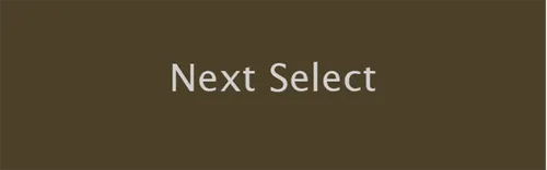 NEXT Select RG 8x25