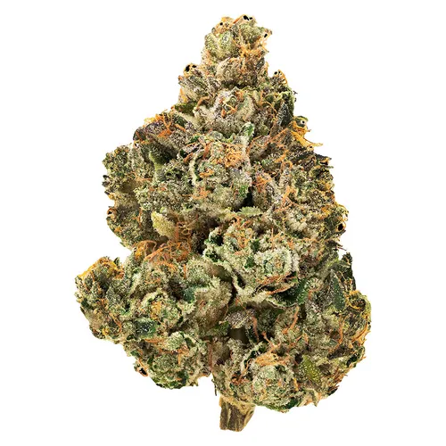 1964 - Stinky Pinky - Indica - 1g 1964 - Stinky Pinky - Indica - 1g
