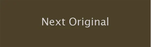 NEXT (Next Original) KS 8x25