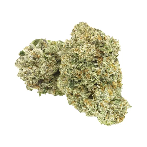 Comatose (OG Kush Phenotype)