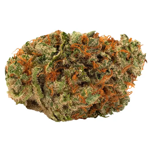 Slow Lane Indica