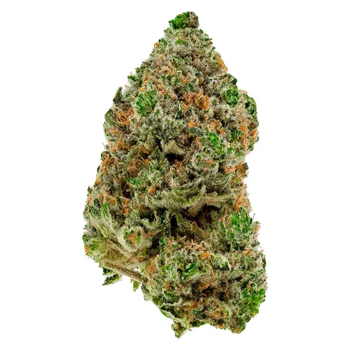Simply Bare - BC Organic Hibachi Blue - BC Organic Hibachi Blue 3.5g Dried Flower Simply Bare - BC Organic Hibachi Blue - BC Organic Hibachi Blue 3.5g Dried Flower