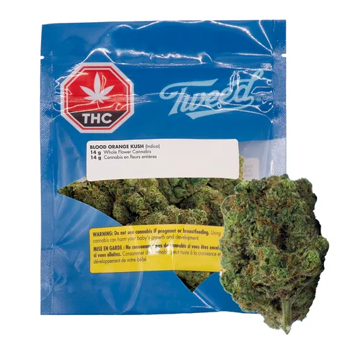 Blood Orange Kush