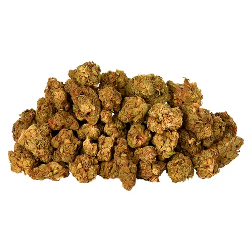 Indica Bud