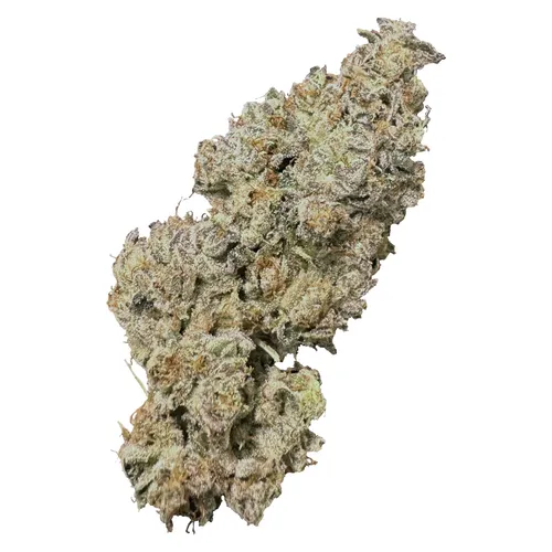 HighXotic - Royal Dive #1: Black Mountain Side - Royal Dive #1: Black Mountain Side 3.5g Dried Flower HighXotic - Royal Dive #1: Black Mountain Side - Royal Dive #1: Black Mountain Side 3.5g Dried Flower