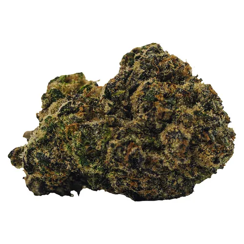 BOLD - Rocket Fuel - 3.5g