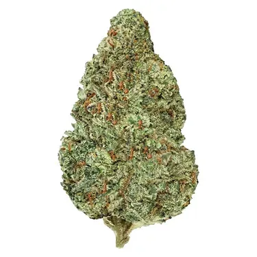 Organic Sugar Haze - 7g Organic Sugar Haze - 7g