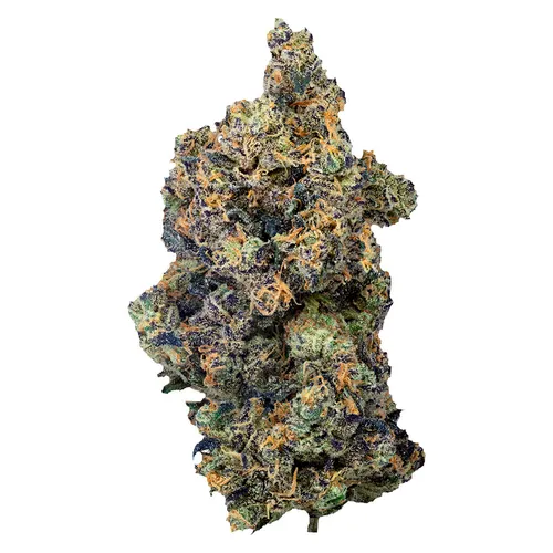 Lime Rntz (Spritzer x Grumpz)