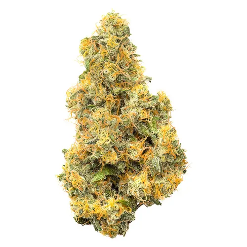 Coast Mountain Cannabis - BC Organic Pure Cake Skunk - BC Organic Pure Cake Skunk 3.5g Dried Flower Coast Mountain Cannabis - BC Organic Pure Cake Skunk - BC Organic Pure Cake Skunk 3.5g Dried Flower