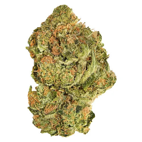 Good Supply - Brand New Buds - Hybrid