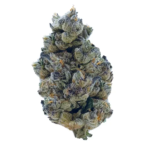 Tribal - Gran Turismo - Gran Turismo 3.5g Dried Flower Tribal - Gran Turismo - Gran Turismo 3.5g Dried Flower