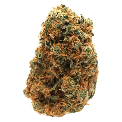 Sage N Sour (Sage x Sour Diesel) Sage N Sour (Sage x Sour Diesel)