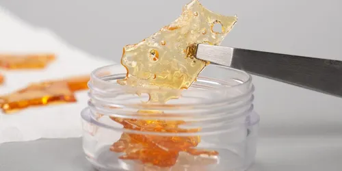 FUSION BUD Sour Grape Shatter 1g FUSION BUD Sour Grape Shatter 1g