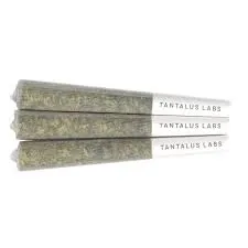TANTALUS More Cowbell PR 10x0.5g TANTALUS More Cowbell PR 10x0.5g