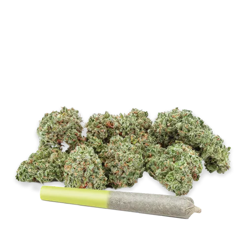 HIGHLY DUTCH - Amsterdam SATIVA (Cherry Mint) Rotating 28G HIGHLY DUTCH - Amsterdam SATIVA (Cherry Mint) Rotating 28G
