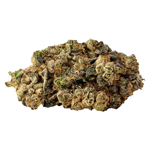 Cobra Chicken Budskis