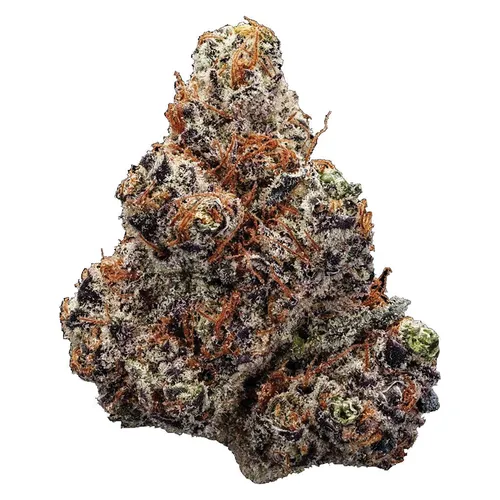 NORTHERN LIGHTS (Afghani x Thai) NORTHERN LIGHTS (Afghani x Thai)