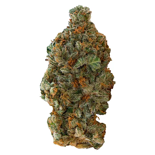 Versus - Girl Scout Cookies - 7g Versus - Girl Scout Cookies - 7g