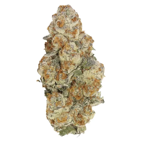 Carmel - Astronaut Status - Astronaut Status 3.5g Dried Flower