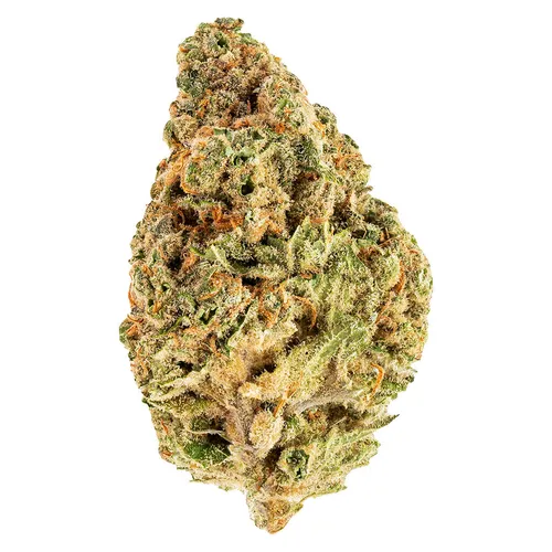 Pineapple Express (Trainwreck x Hawaiian) Pineapple Express (Trainwreck x Hawaiian)