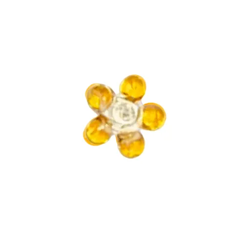 Red Eye Glass Small Daisy Glass Screen