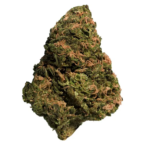 Sun Grown Bonkers Flower