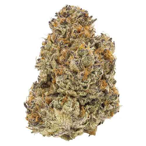 FIGR - Chatty Kathy - 3.5g