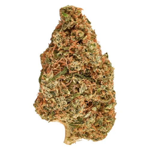 Carnaval Kush