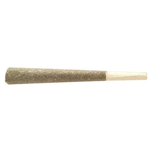 Raptors Rntz Pre-Roll