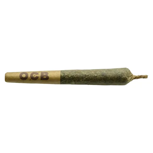 Coterie - Lemon Cherry Gelato Pre-Roll Coterie - Lemon Cherry Gelato Pre-Roll