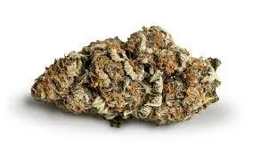 DAN'S BALANCE CALI-O 3.5 g DAN'S BALANCE CALI-O 3.5 g