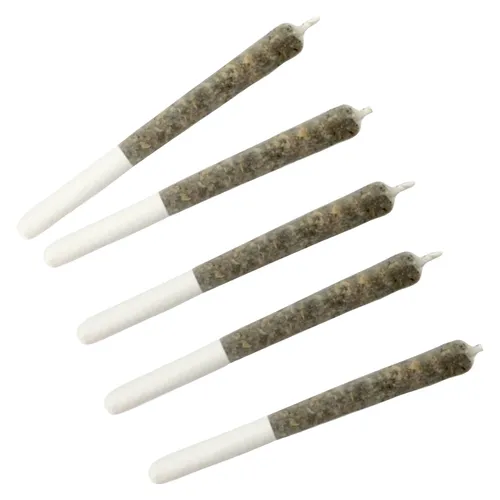 Dime Bag - Wildcat Serum Pocket Rockets Infused Pre-Rolls - Hybrid - 5x0.5g Dime Bag - Wildcat Serum Pocket Rockets Infused Pre-Rolls - Hybrid - 5x0.5g