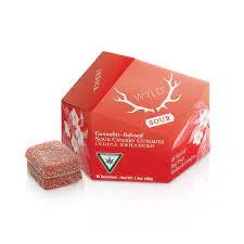 WYLD Real Fruit Sour Cherry  2X5mg