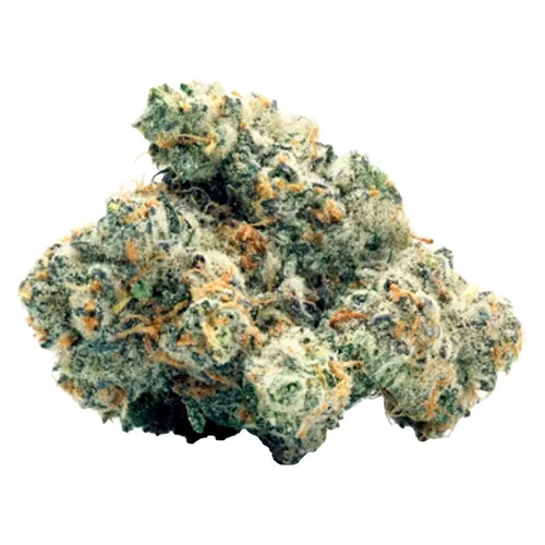 Toasted - WiFi Widow OG - WiFi Widow OG 3.5g Dried Flower Toasted - WiFi Widow OG - WiFi Widow OG 3.5g Dried Flower