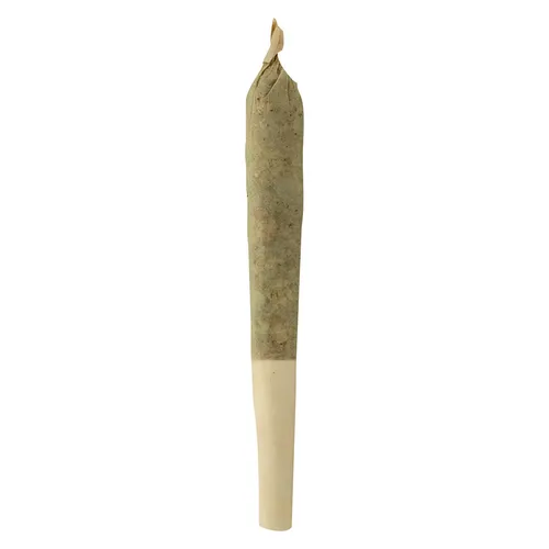 Sheeesh! - Trop Cherry Pre-Roll - 1x0.5g Sheeesh! - Trop Cherry Pre-Roll - 1x0.5g