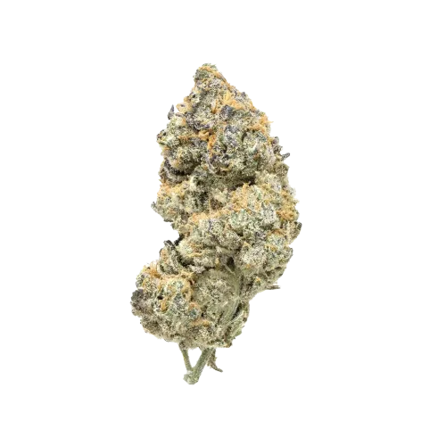 SNICKLEFRITZ Indica (Cement Shoes) 7g SNICKLEFRITZ Indica (Cement Shoes) 7g