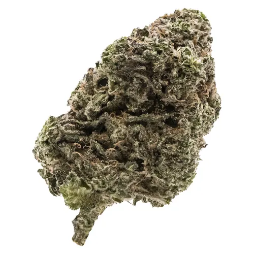 FIGR - Jungle Fumes - Jungle Fumes 3.5g Dried Flower FIGR - Jungle Fumes - Jungle Fumes 3.5g Dried Flower
