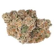 Strawberry Cheezequake