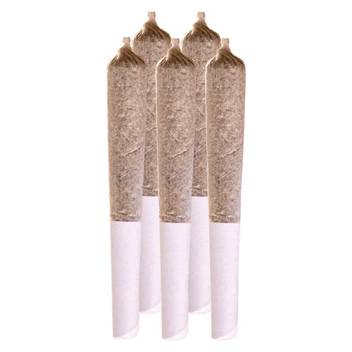 Station House - Ghost Train Haze Pre-Roll - 1x0.5g Station House - Ghost Train Haze Pre-Roll - 1x0.5g