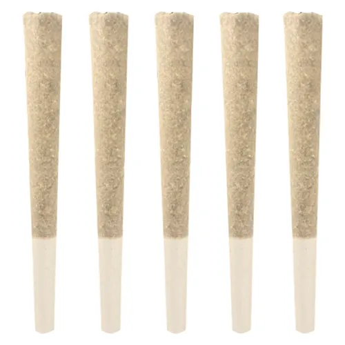 Gas Pack Pre-Roll - Velvet Ice Cream (Ice Cream Cake x Medellin) Gas Pack Pre-Roll - Velvet Ice Cream (Ice Cream Cake x Medellin)