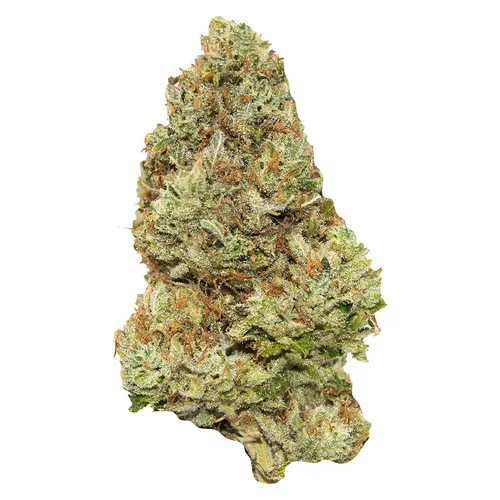 Contraband - Golden Tangie - 7g