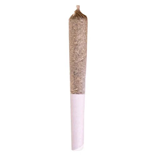 Mango Dream Pre-Roll