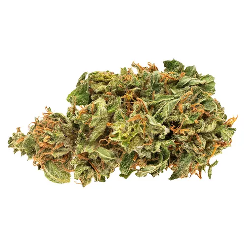 GOOD SUPPLY JEAN GUY 28 g GOOD SUPPLY JEAN GUY 28 g